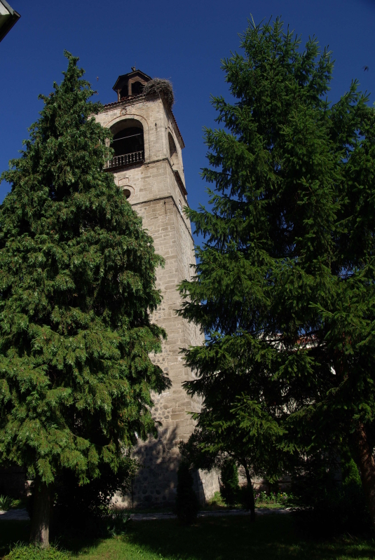 IMGP9272