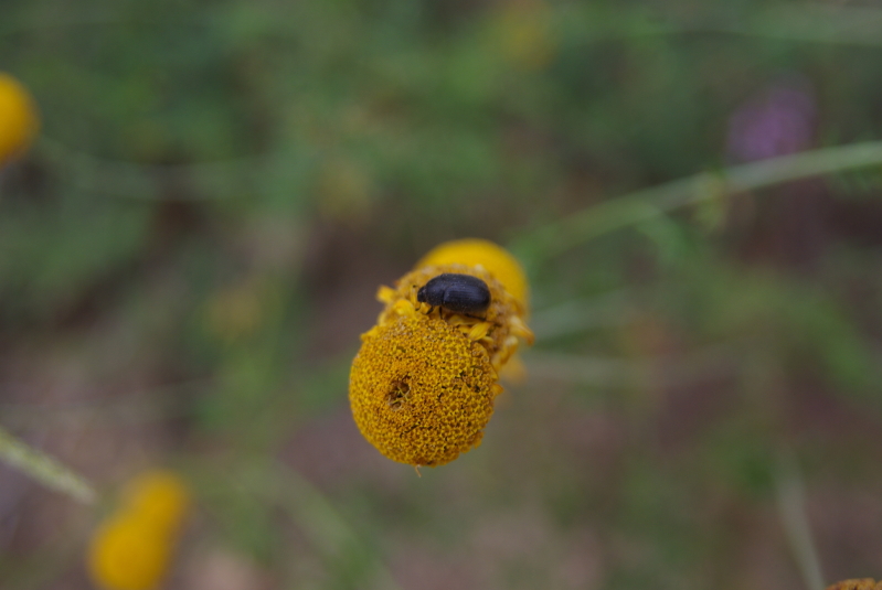 IMGP9495