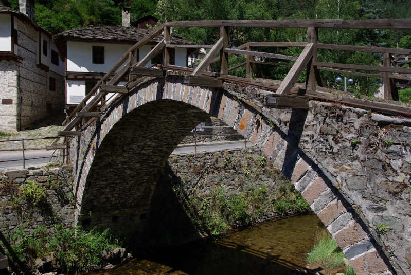 IMGP9567