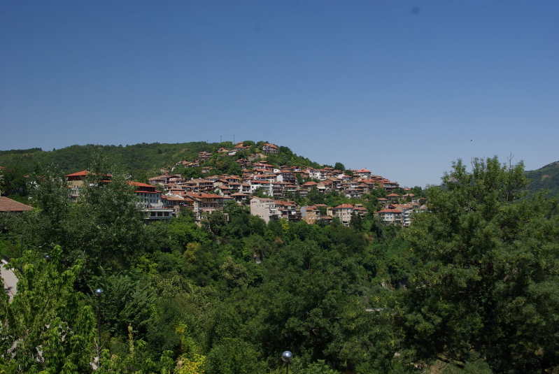 IMGP9606
